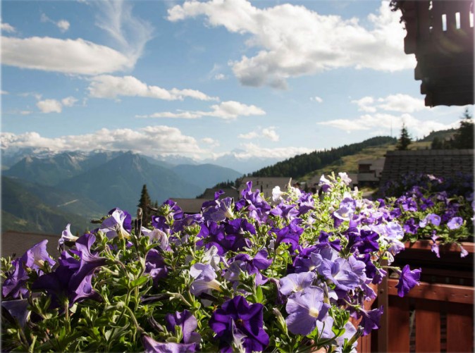 Alpfrieden_Ausblick